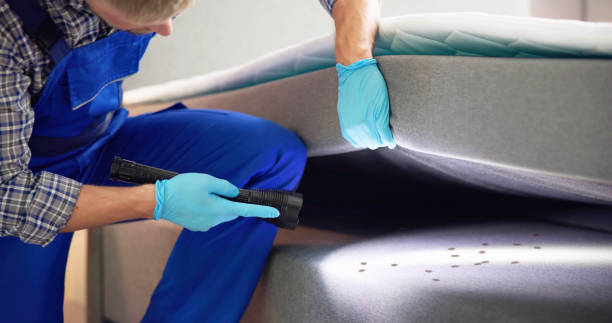 Best Emergency Pest Control  in Great Notch, NJ