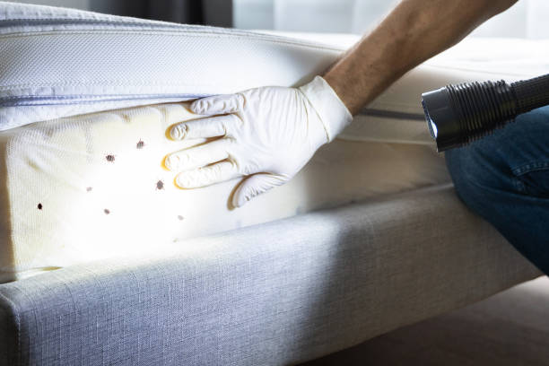 Best Bed Bug Extermination  in Great Notch, NJ