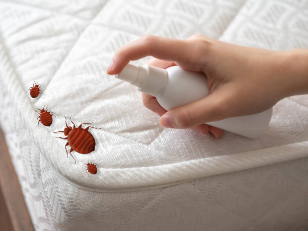 Pest Control Cost in Great Notch, NJ
