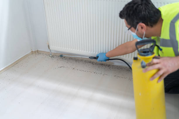 Best Pest Removal Services  in Great Notch, NJ